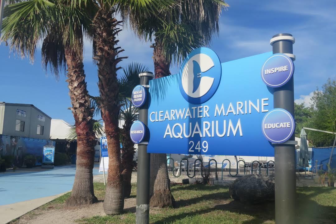 Acquario marino di Clearwater
